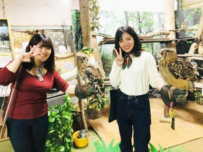 茨城県石岡市にある「ダチョウ王国」でのふくろう腕のせ体験