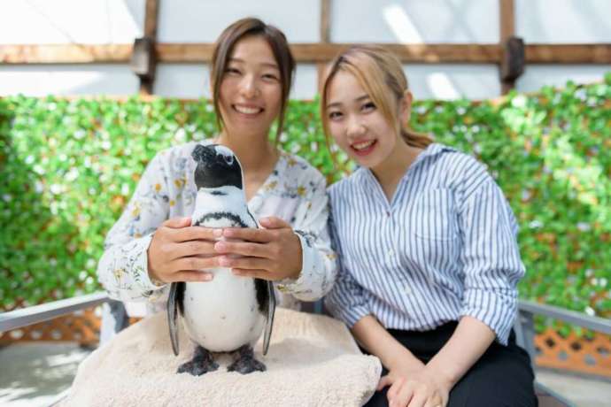 ペンギンとの記念撮影をする女性