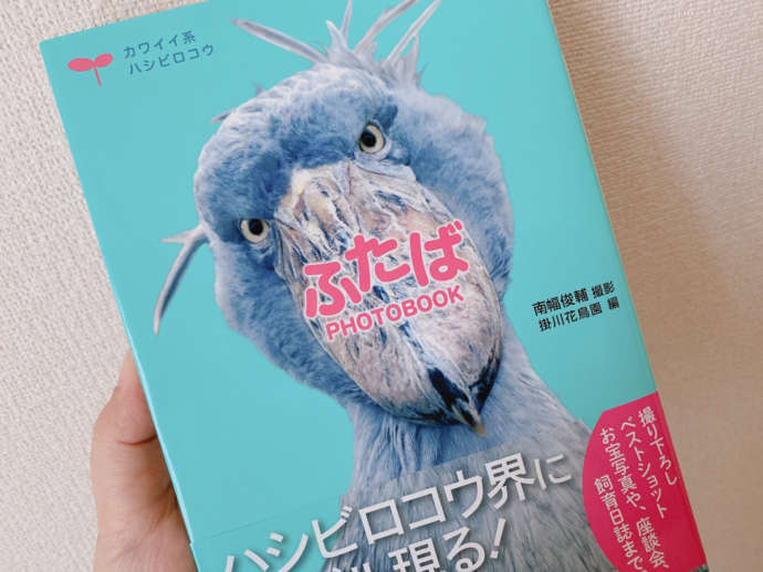 ハシビロコウ「ふたば」のフォトブック