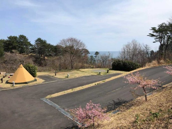 宮城県本吉郡にある神割崎キャンプ場のオートサイトを引きで眺める