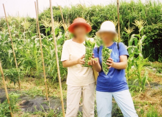 鴨川オーシャンパークの夏野菜摘みとり体験の様子
