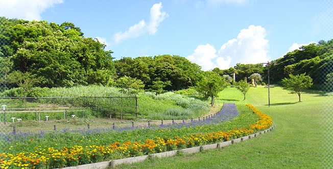 神奈川県横須賀市にある観音崎公園