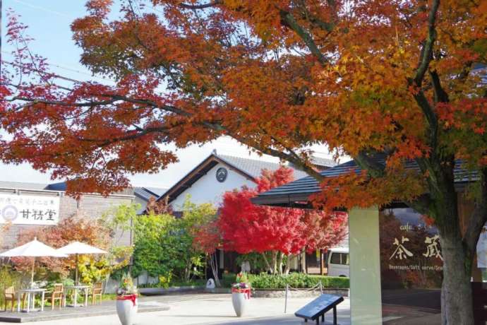 長野県上高井郡小布施町にある「桜井甘精堂 本店」の周辺
