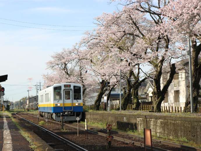 関東鉄道・常総線「黒子駅」と車両キハ5010形