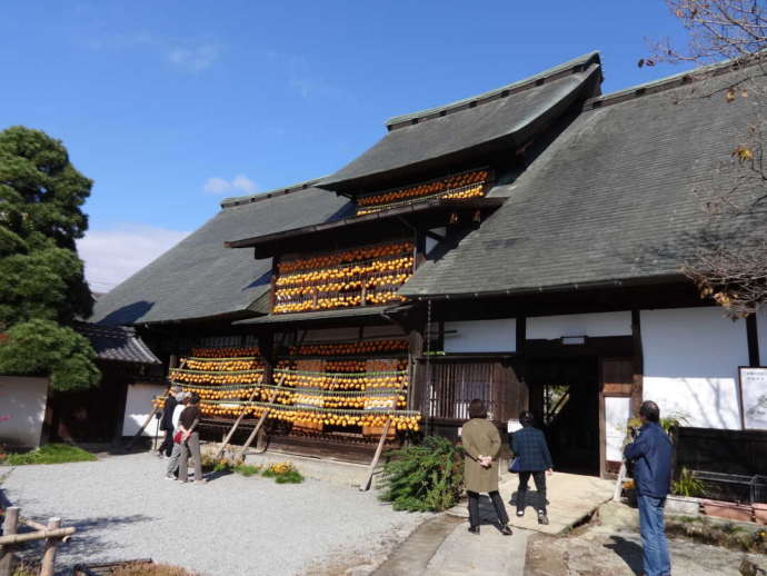 甘草屋敷の枯露柿の風景
