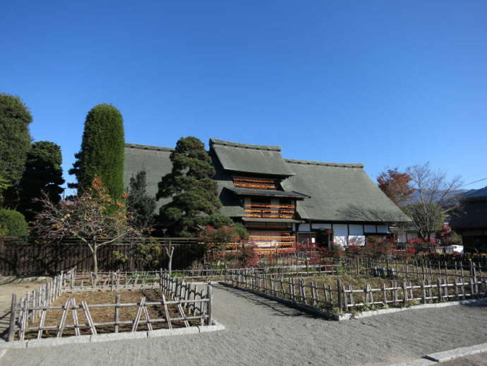 甘草屋敷の枯露柿干しと薬草園