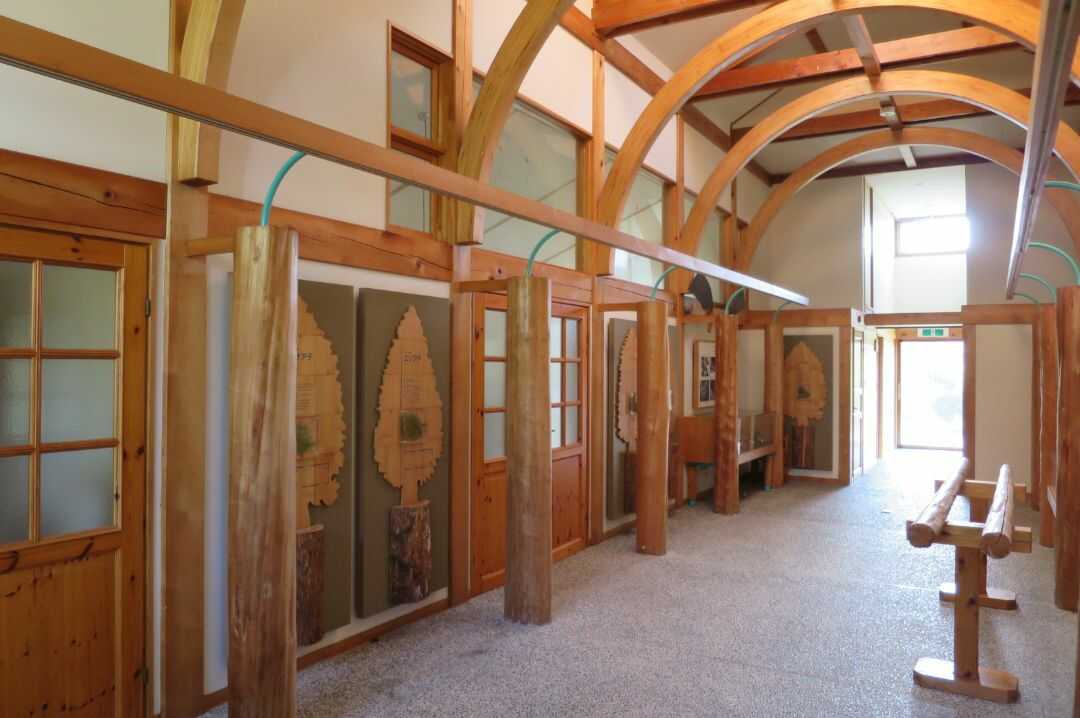 石川県健康の森オートキャンプ場に併設されている森林科学館の展示風景
