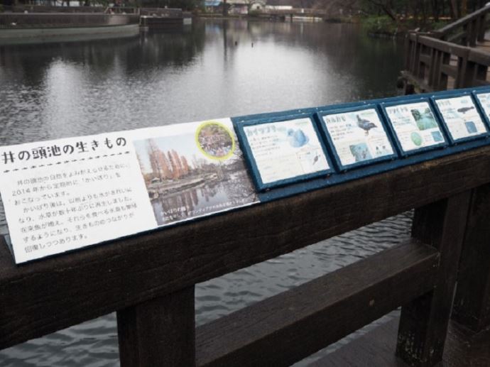 井の頭池の生き物の看板