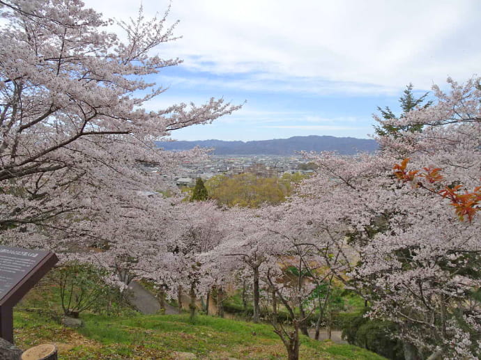 春の和歌山県立紀伊風土記の丘