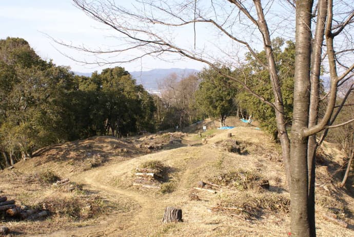 和歌山県立紀伊風土記の丘の特別史跡岩橋千塚古墳群古墳群状況