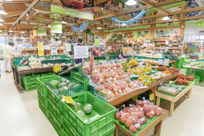 道の駅木更津うまくたの里の野菜売り場