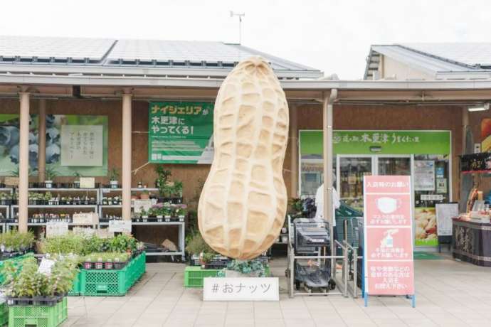道の駅木更津うまくたの里の記念撮影スポット「おナッツ」