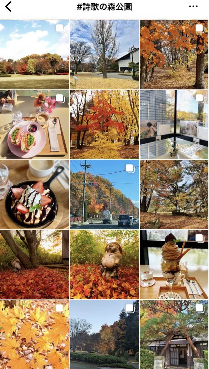 Instagramに投稿された、詩歌の森公園の画像