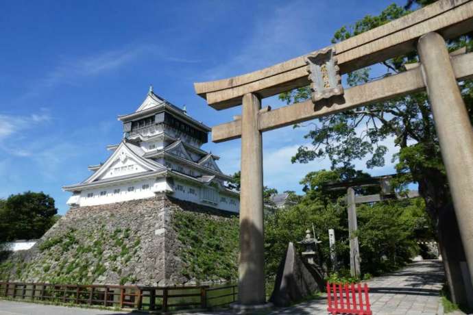天守閣と鳥居を一枚の写真に収められる珍しいスポットのようす