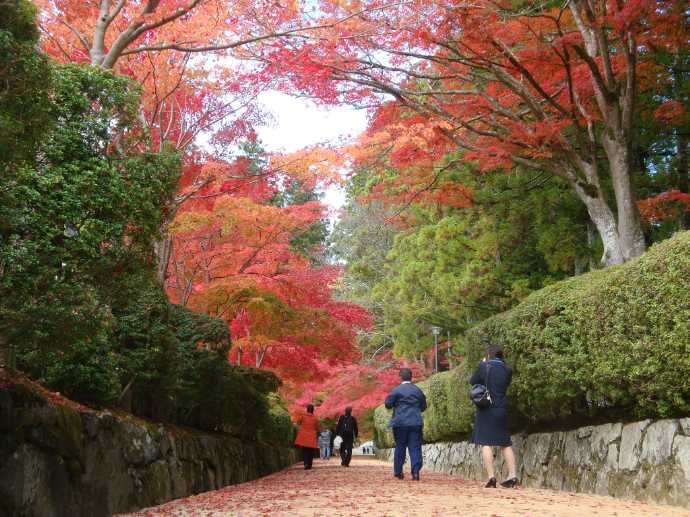 金剛峯寺がおかれる和歌山県伊都郡高野山の紅葉