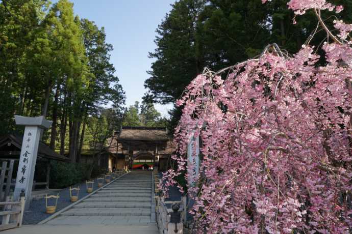和歌山県伊都郡高野山にある金剛峯寺入り口