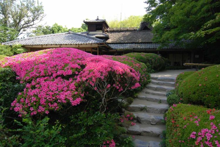 京都府左京区にある詩仙堂丈山寺の嘯月楼とサツキ