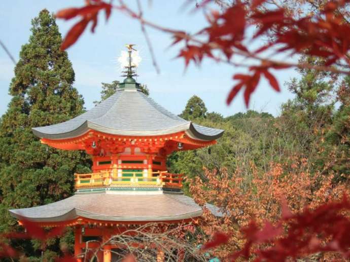 青空と木々の緑をバックにした遍照塔と紅葉