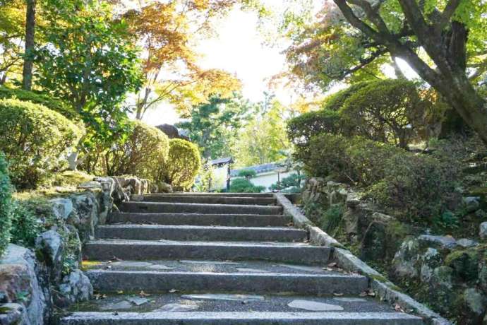 正法寺の参道にある石段