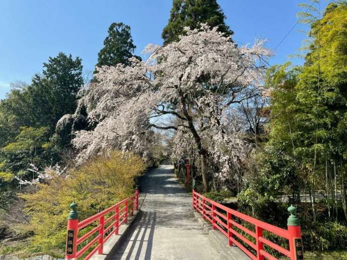正法寺の入り口にかかる橋