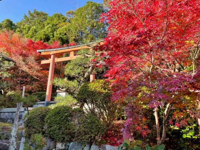 正法寺にある稲荷社の付近の様子