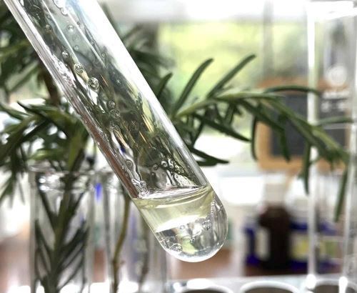 宮崎県宮崎市にある「LC香りカフェ」でローズマリーの精油を作っている様子