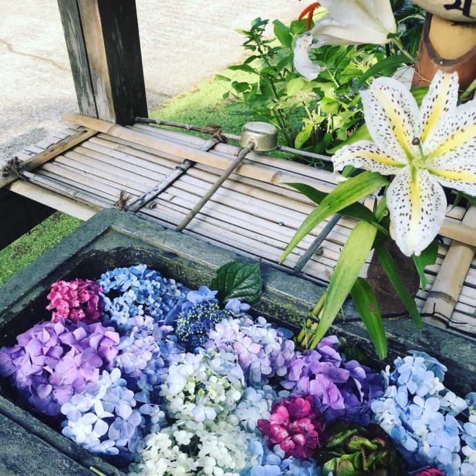 真野寺境内のあじさい祭り期間中の花手水