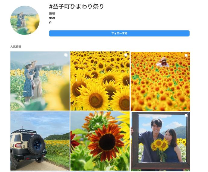 益子町のひまわり畑のインスタグラム