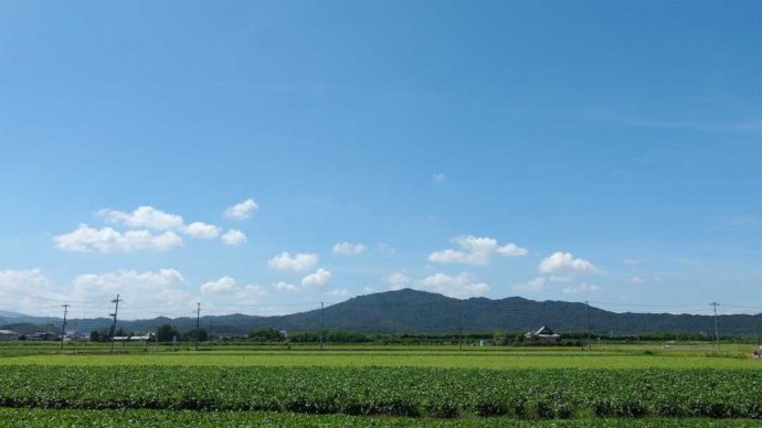 松瀬酒造周辺の竜王町の畑と田園風景