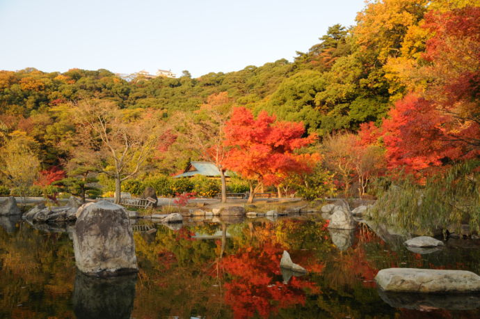 愛媛県松山市にある二之丸史跡庭園の紅葉の様子