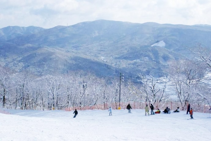 センターコースの尾根部分から見える景色