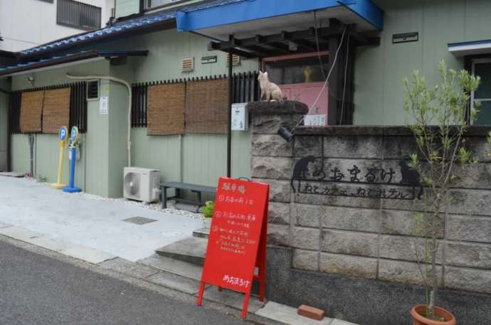 保護猫カフェめおまるけの外観と店名ロゴ
