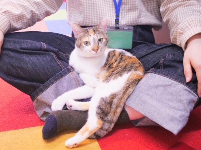 ミャゴラーレでおすすめのカジュアルな服装