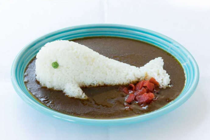 道の駅たいじの鯨カレー
