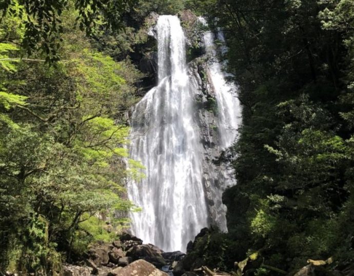 矢研の滝の風景