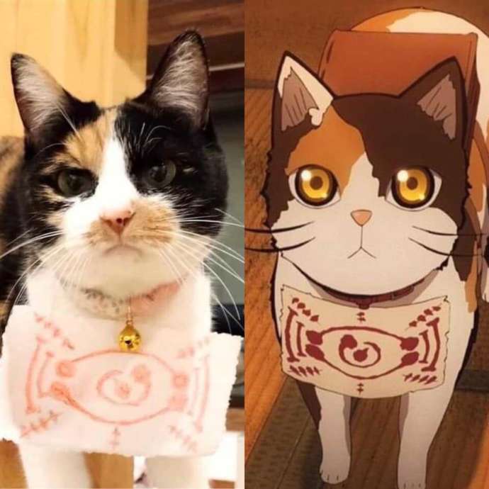 鬼滅の刃に登場する猫「茶々丸」とそっくりの猫スタッフ「きぃ」の写真を並べた様子