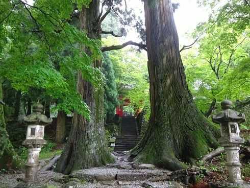 緑に囲まれた真福院