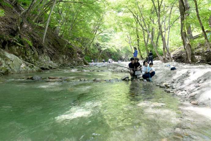 トンネルのようになった木の下で、三依渓流つり場の川魚釣りを楽しむ親子