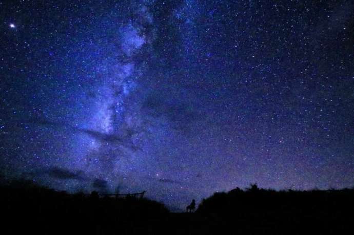 「motti 西表島トレッキングエコツアー」で見たサトウキビ畑での星空