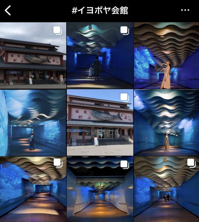 インスタグラムに掲載されたイヨボヤ会館の画像