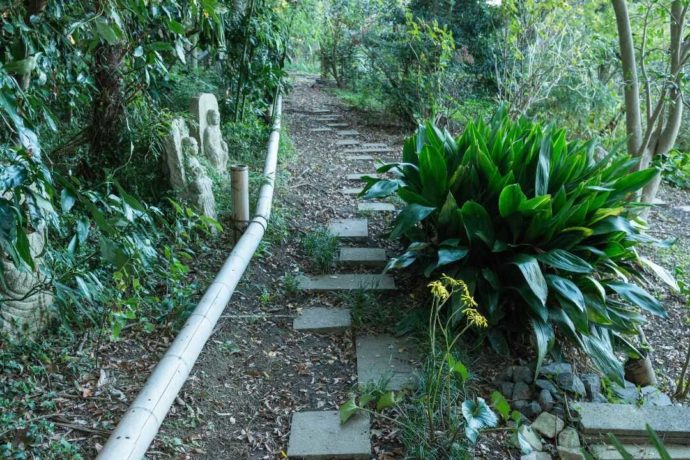 樹木の多い美術館の散策路