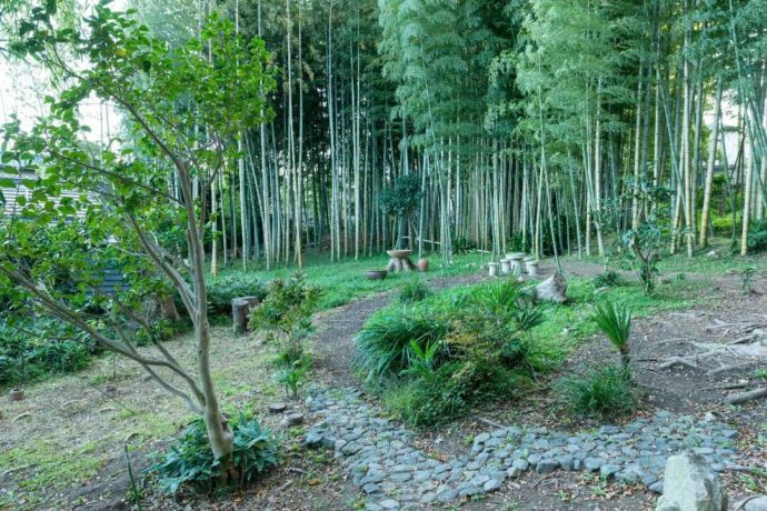 竹林の中を進む散策路の写真