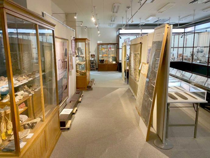 島根大学総合博物館アシカルの展示室の様子