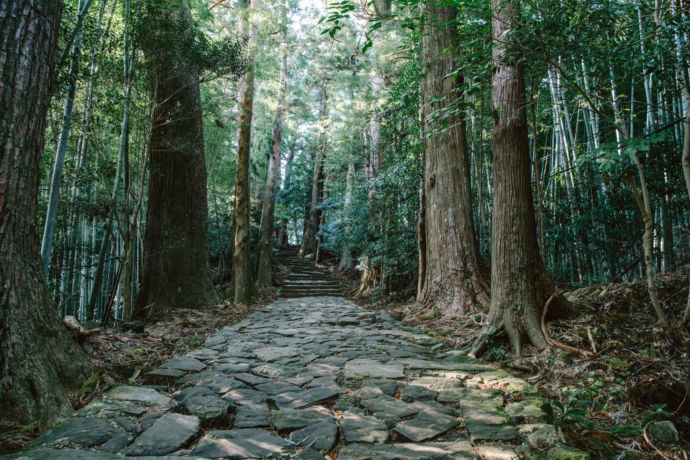 和歌山県那智勝浦町にある「熊野古道 大門坂」