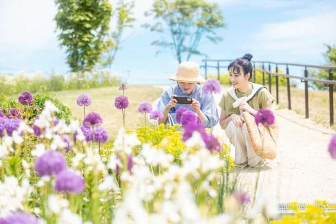 ナチュの森ガーデンの花々
