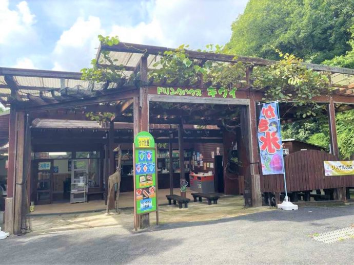 長崎県西海市にある「長崎バイオパーク」内で軽食を楽しめる飲食店「キウイ」