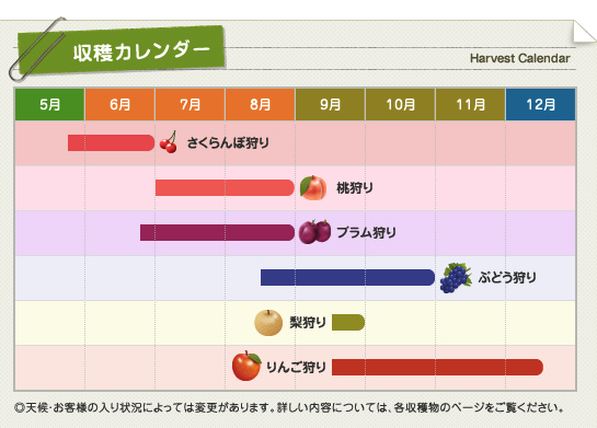 中込農園で収穫できる果物にはどういった種類がありますか?