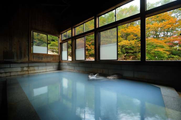 滑川温泉 福島屋の内風呂から望む紅葉の風景