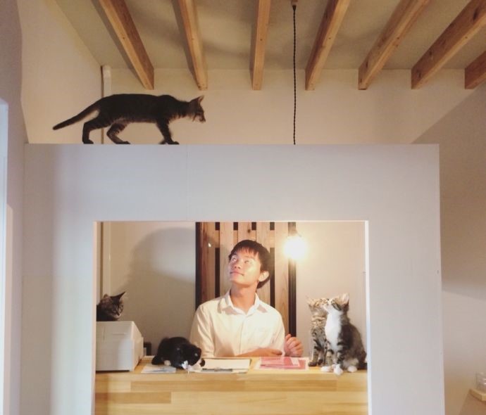 「保護猫カフェ285(にやご)」の室内でくつろぐ人懐っこい猫たちとお客さん