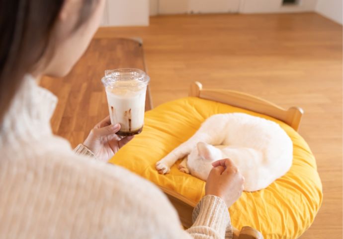 「保護猫カフェ285(にやご)」の室内でくつろぐ猫とお客さん